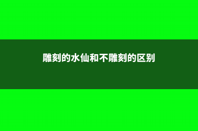 不会雕刻水仙？最全的图解来了 (雕刻的水仙和不雕刻的区别)