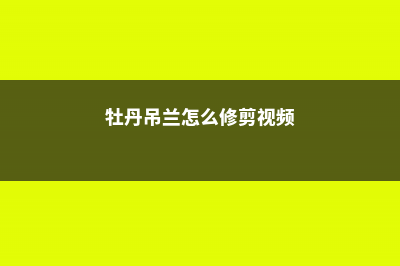 牡丹吊兰怎么修剪 (牡丹吊兰怎么修剪视频)