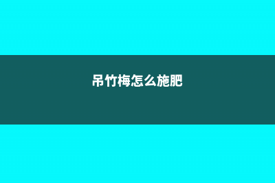 怎样让吊竹梅多开花 (吊竹梅怎么施肥)