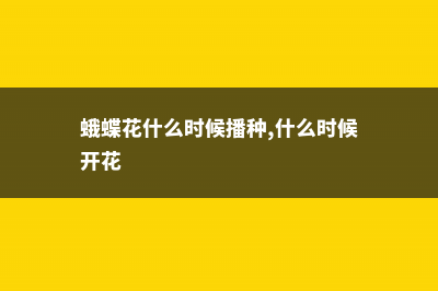 蛾蝶花的播种繁殖 (蛾蝶花什么时候播种,什么时候开花)