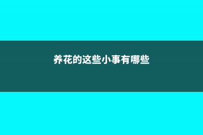 养花的这些小事，忽略了就是大事 (养花的这些小事有哪些)