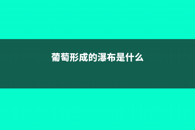 葡萄形成的瀑布，你想要吗 (葡萄形成的瀑布是什么)