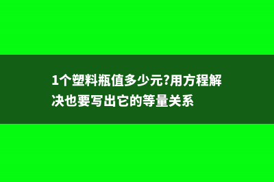 1个塑料瓶就是2个花盆,5步搞定 (1个塑料瓶值多少元?用方程解决也要写出它的等量关系)