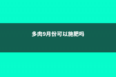 9月,给你的多肉增个肥 (多肉9月份可以施肥吗)