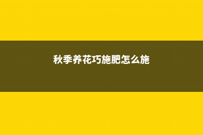 秋季养花巧施肥 (秋季养花巧施肥怎么施)