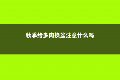 秋季多肉换盆十步走 (秋季给多肉换盆注意什么吗)