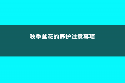 秋季盆花的养护方法 (秋季盆花的养护注意事项)