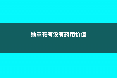 勋章花的繁殖方法 (勋章花有没有药用价值)