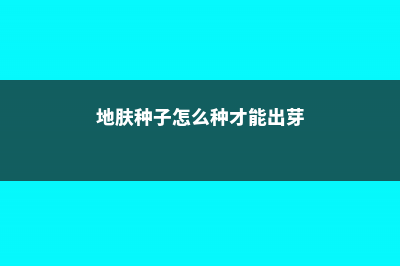 地肤的播种繁殖方法 (地肤种子怎么种才能出芽)