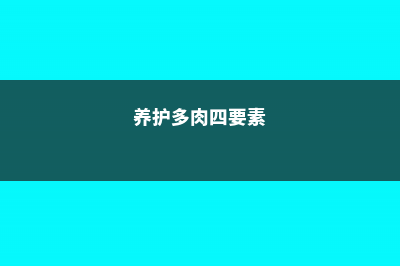 4个多肉养护必犯误区 (养护多肉四要素)