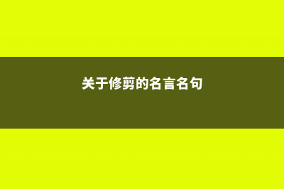 关于修剪你不得不知道这些 (关于修剪的名言名句)