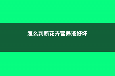 怎么判断花卉营养的缺乏症 (怎么判断花卉营养液好坏)