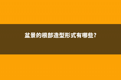 盆栽的根部类型 (盆景的根部造型形式有哪些?)