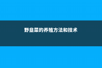 野韭菜的养殖方法和注意事项 (野韭菜的养殖方法和技术)