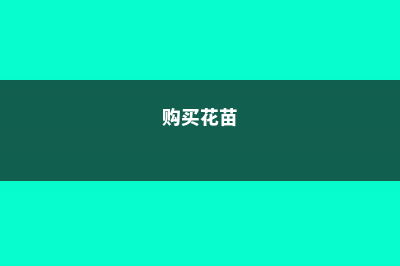 买花苗的技巧——五种花苗不要买 (购买花苗)