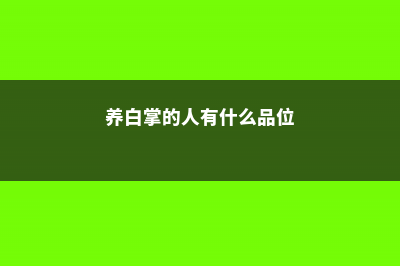 养护白掌有哪些技巧 (养白掌的人有什么品位)