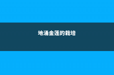 地涌金莲的繁殖方式 (地涌金莲的栽培)