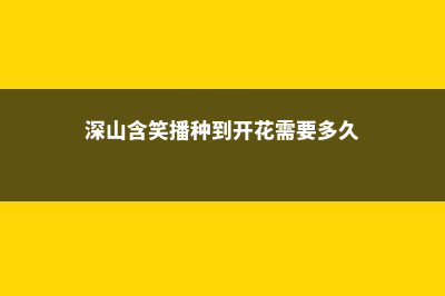 深山含笑的播种繁殖方法 (深山含笑播种到开花需要多久)