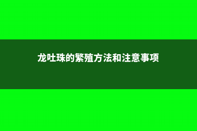 龙吐珠的繁殖方法有哪些 (龙吐珠的繁殖方法和注意事项)