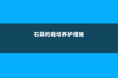 石蒜的栽培养护知识 (石蒜的栽培养护措施)