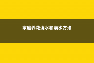 家庭养花浇水和日照小知识 (家庭养花浇水和浇水方法)