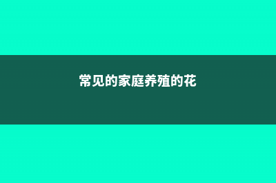 常使用的家庭养花方法,你知道几个 (常见的家庭养殖的花)