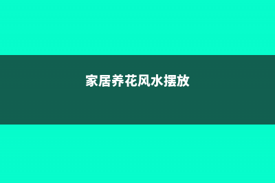 家居养花风水,你知道多少 (家居养花风水摆放)