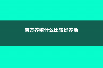 南方地区怎么养好君子兰 (南方养殖什么比较好养活)