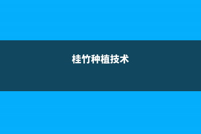 桂竹香的种子如何保存 (桂竹种植技术)