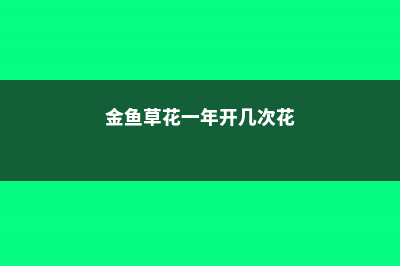 金鱼草的繁殖方法 (金鱼草的繁殖方法视频)