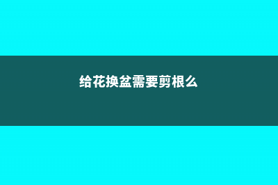 给花换盆前,你得先知道这些 (给花换盆需要剪根么)