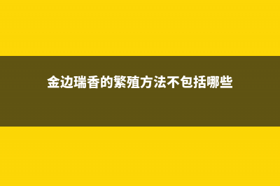 金边瑞香的繁殖方法 (金边瑞香的繁殖方法不包括哪些)