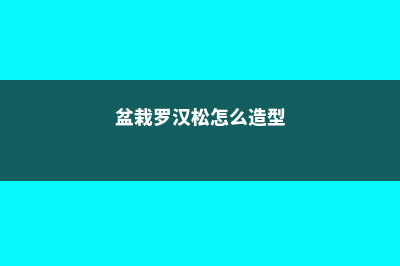 盆栽罗汉松怎么修剪 (盆栽罗汉松怎么造型)