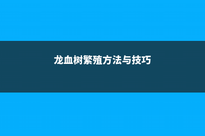 龙血树的繁殖方法 (龙血树繁殖方法与技巧)