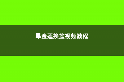 旱金莲怎么换盆移栽 (旱金莲换盆视频教程)