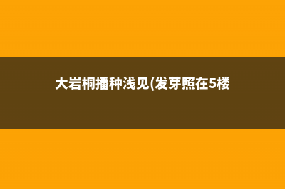 大岩桐的播种方法 (大岩桐播种浅见(发芽照在5楼))