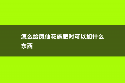 怎么给凤仙花施肥 (怎么给凤仙花施肥时可以加什么东西)