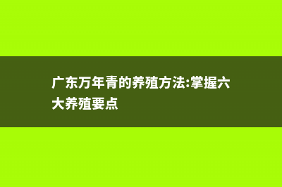 广东万年青的养殖方法和注意事项 (广东万年青的养殖方法:掌握六大养殖要点)