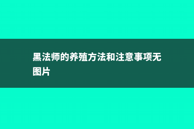 黑法师的养殖方法 (黑法师的养殖方法和注意事项无图片)