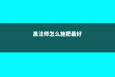 黑法师怎么施肥 (黑法师怎么施肥最好)