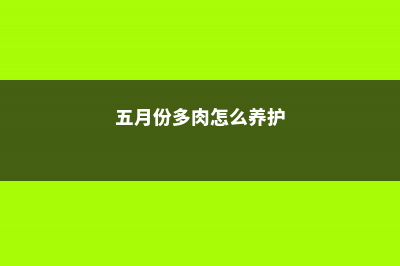 五月多肉养护提前知 (五月份多肉怎么养护)