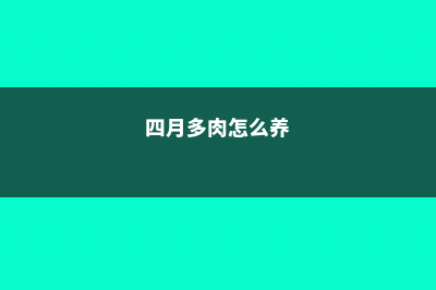 多肉植物四月养护要点 (四月多肉怎么养)