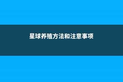 星球多久浇一次水合适 (星球养殖方法和注意事项)