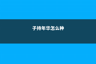 子持年华徒长怎么办 (子持年华怎么种)