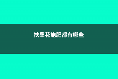 扶桑怎么施肥 (扶桑花施肥都有哪些)