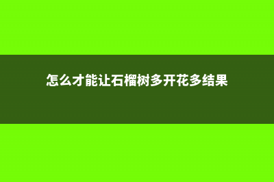 怎么让石榴花多开花 (怎么才能让石榴树多开花多结果)