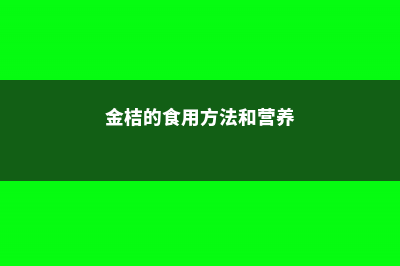 金桔的食用方法 (金桔的食用方法和营养)