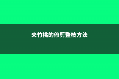 夹竹桃的修剪整形方法 (夹竹桃的修剪整枝方法)