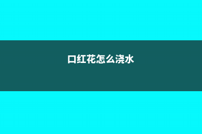 口红花怎么施肥 (口红花怎么浇水)