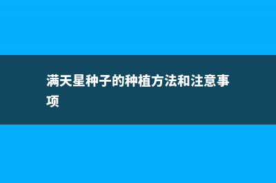 满天星种子的种植方法 (满天星种子的种植方法和注意事项)